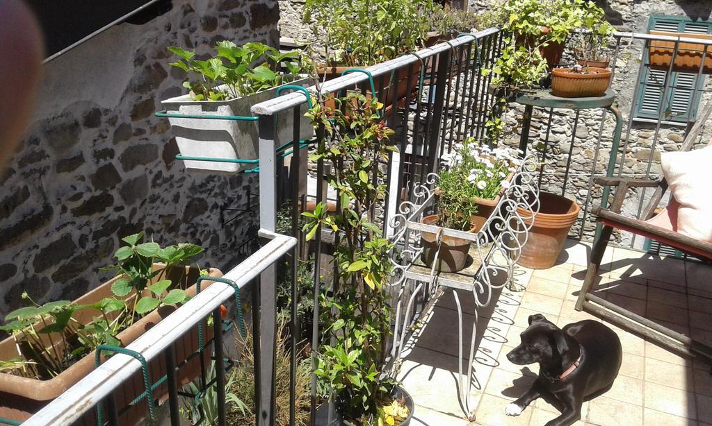 Casa Med Holiday Home Isolabona Exterior photo